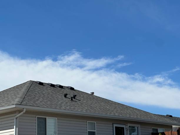 Best Emergency Roof Repair Services  in USA